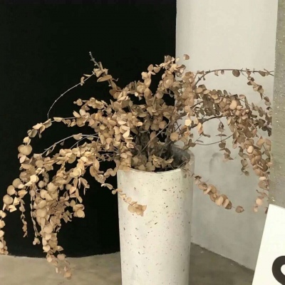 Furry二次元壁纸分享兽圈社群